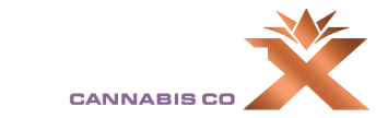 boomx logo