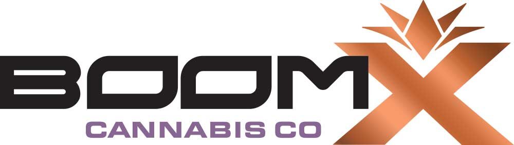 boomx logo
