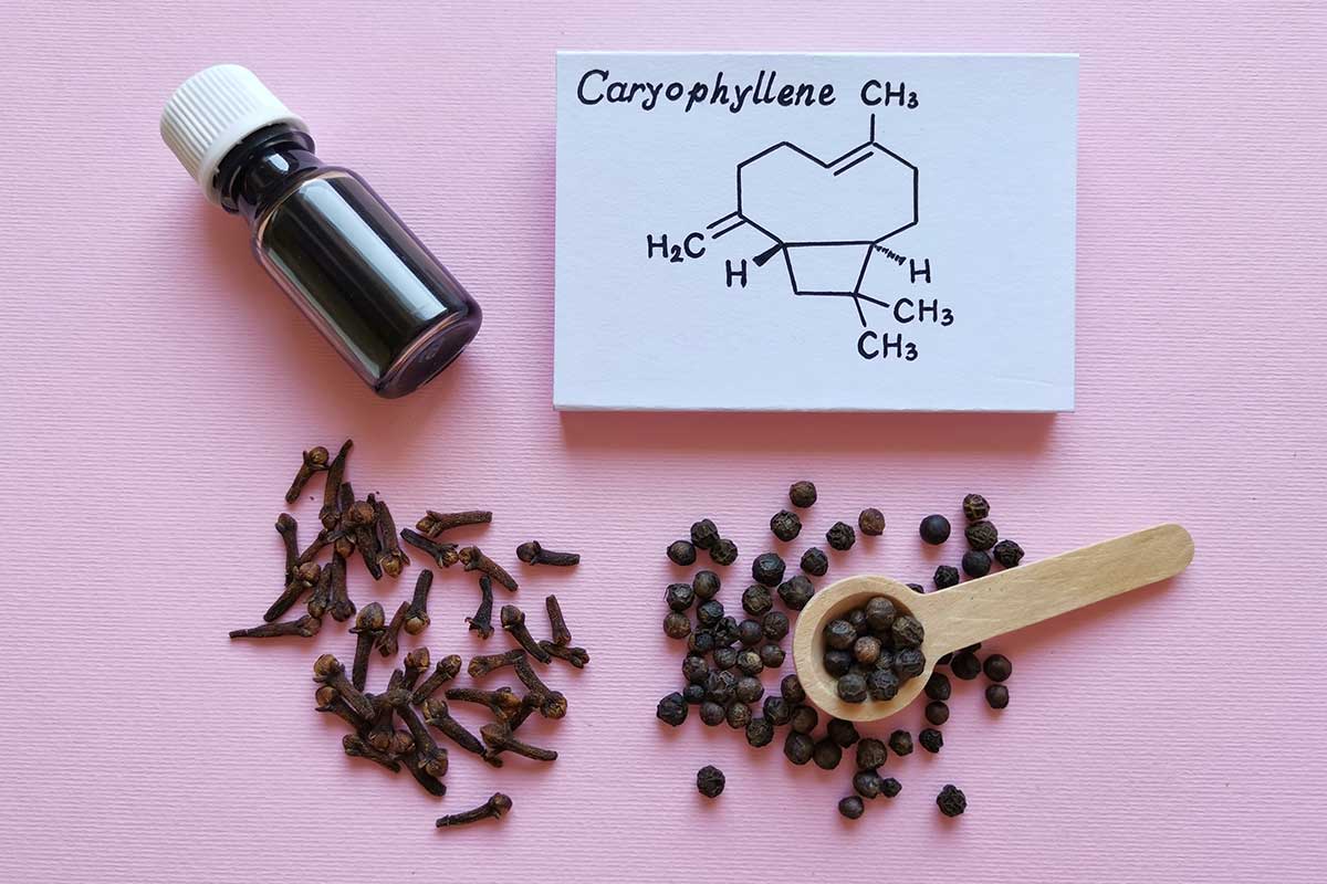 cbd for anxiety and depression