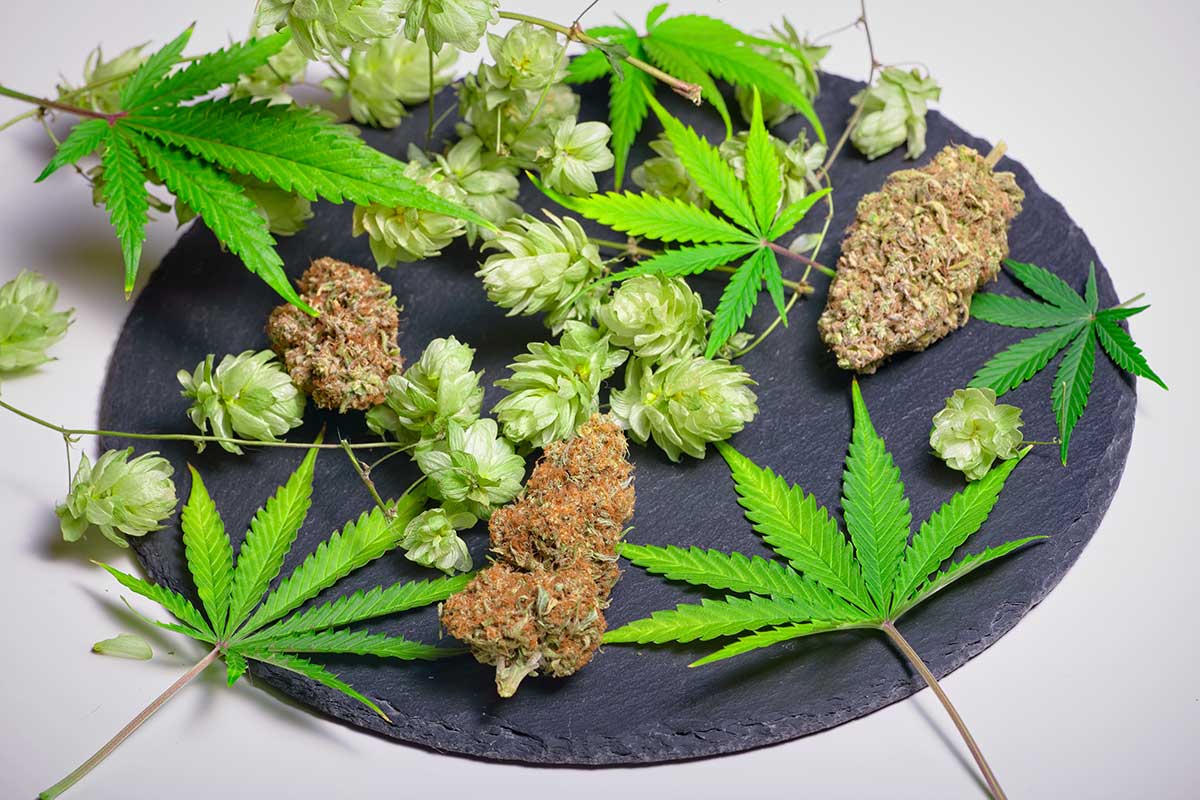cbd for anxiety and depression