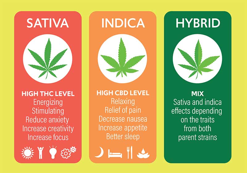 cbd for anxiety and depression