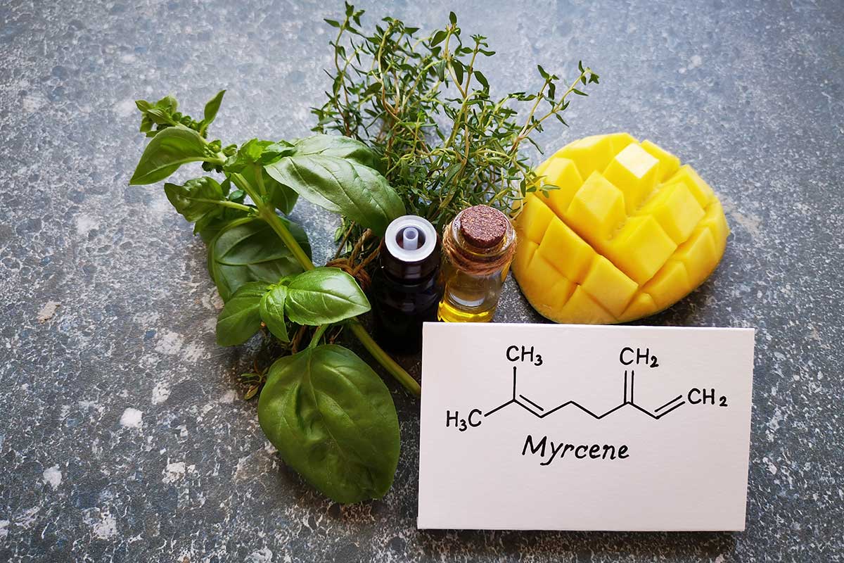 cbd for anxiety and depression