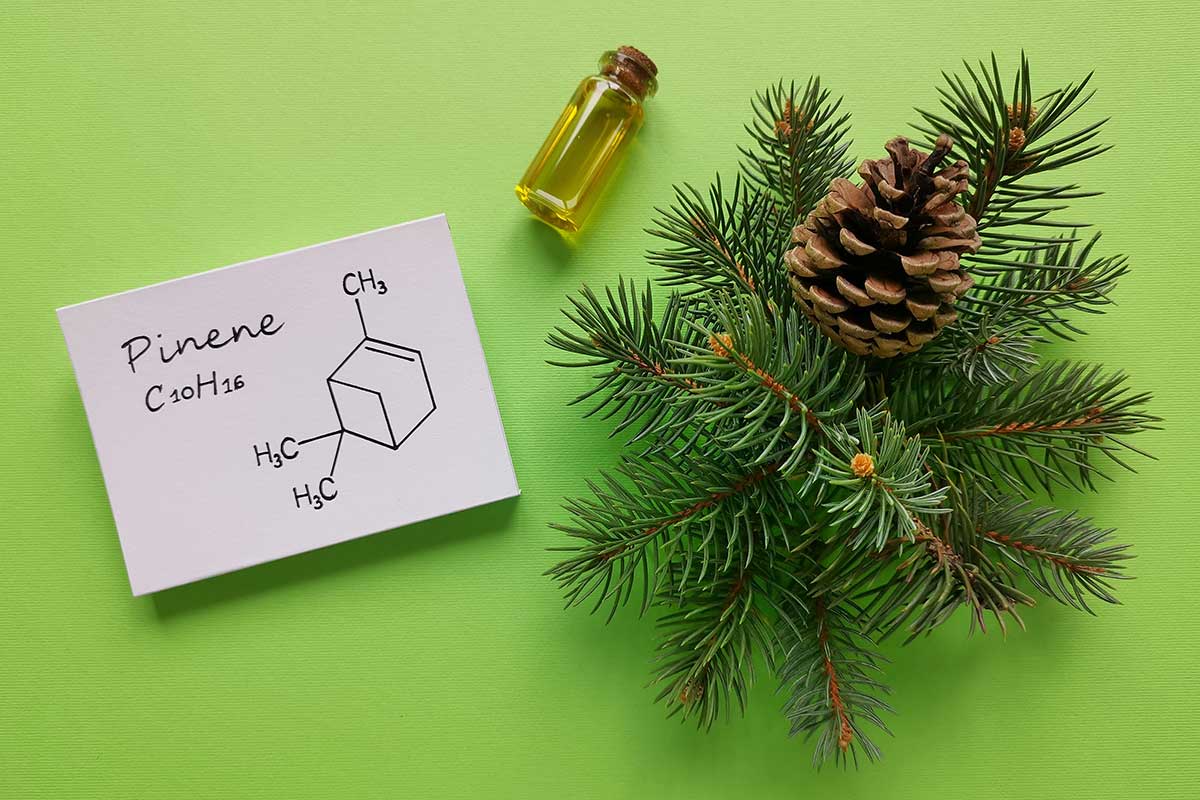 cbd for anxiety and depression