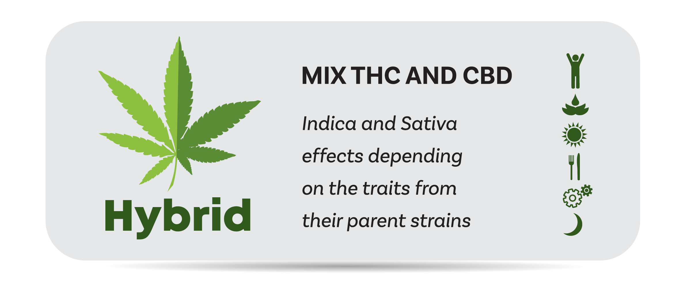 cbd for anxiety and depression