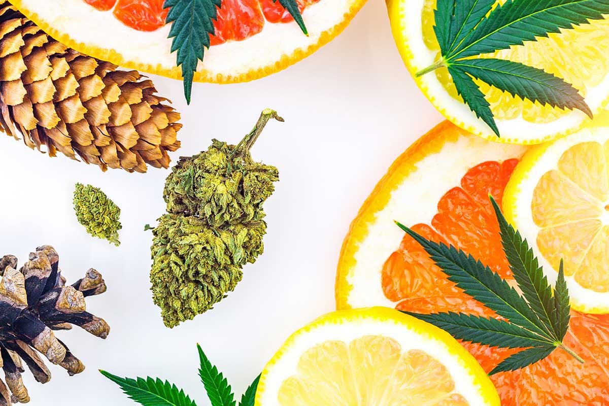 cbd for anxiety and depression