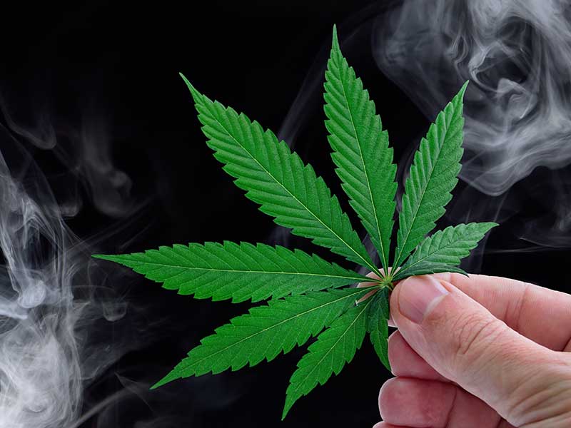 recreational cannabis dispensary near Boxboro ma