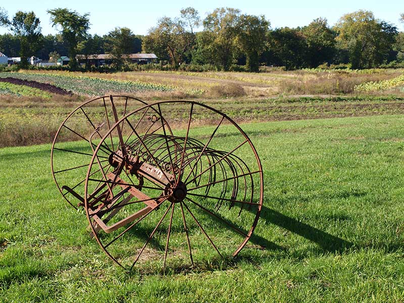 recreational cannabis dispensary near Littleton ma - Antique farm equipment Littleton Massachusetts