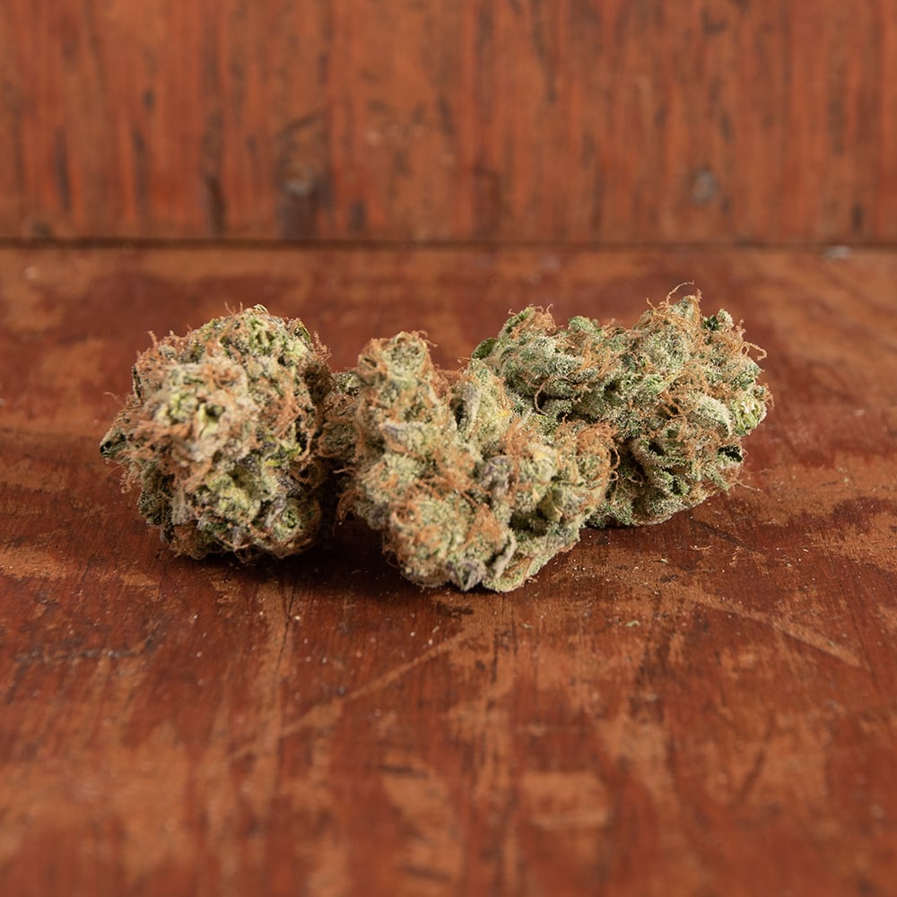 Orange Chemeleon Buds | - Image 2