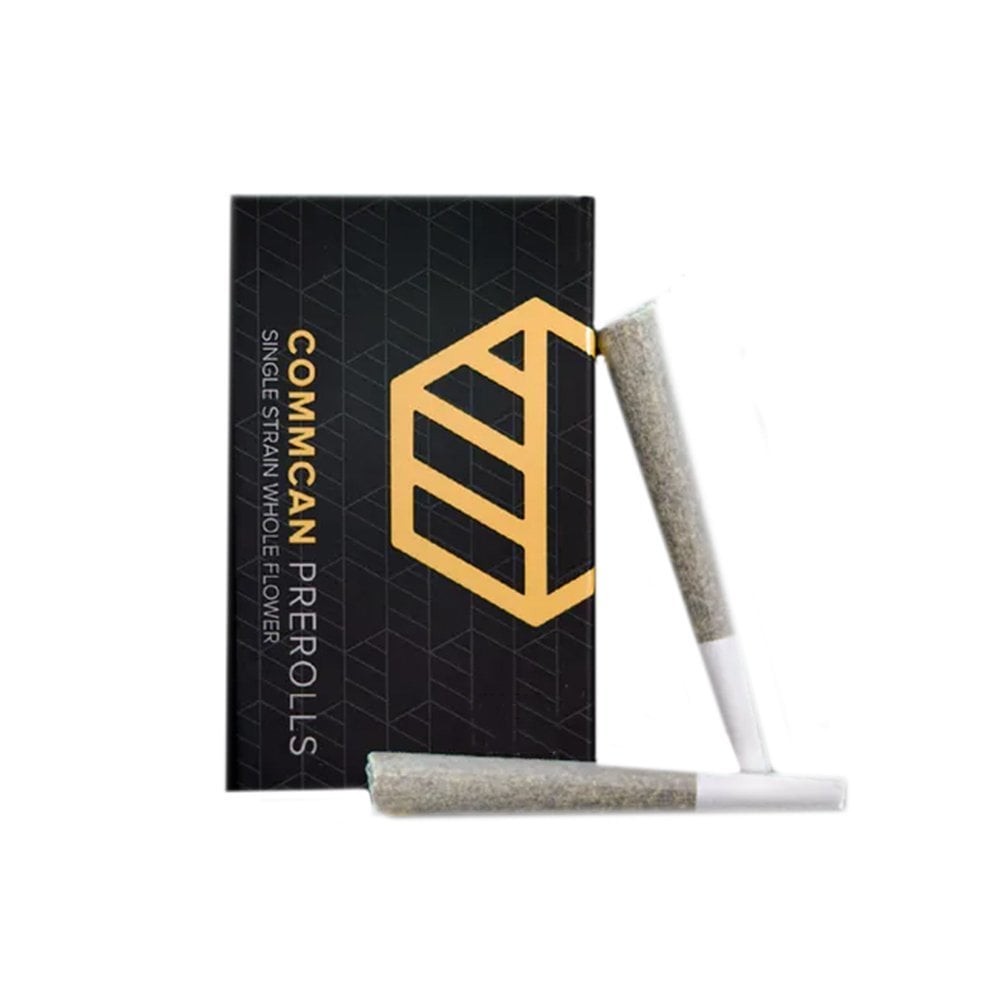 Lava Dawg 2pk Pre-Rolls | 1g - Image 2