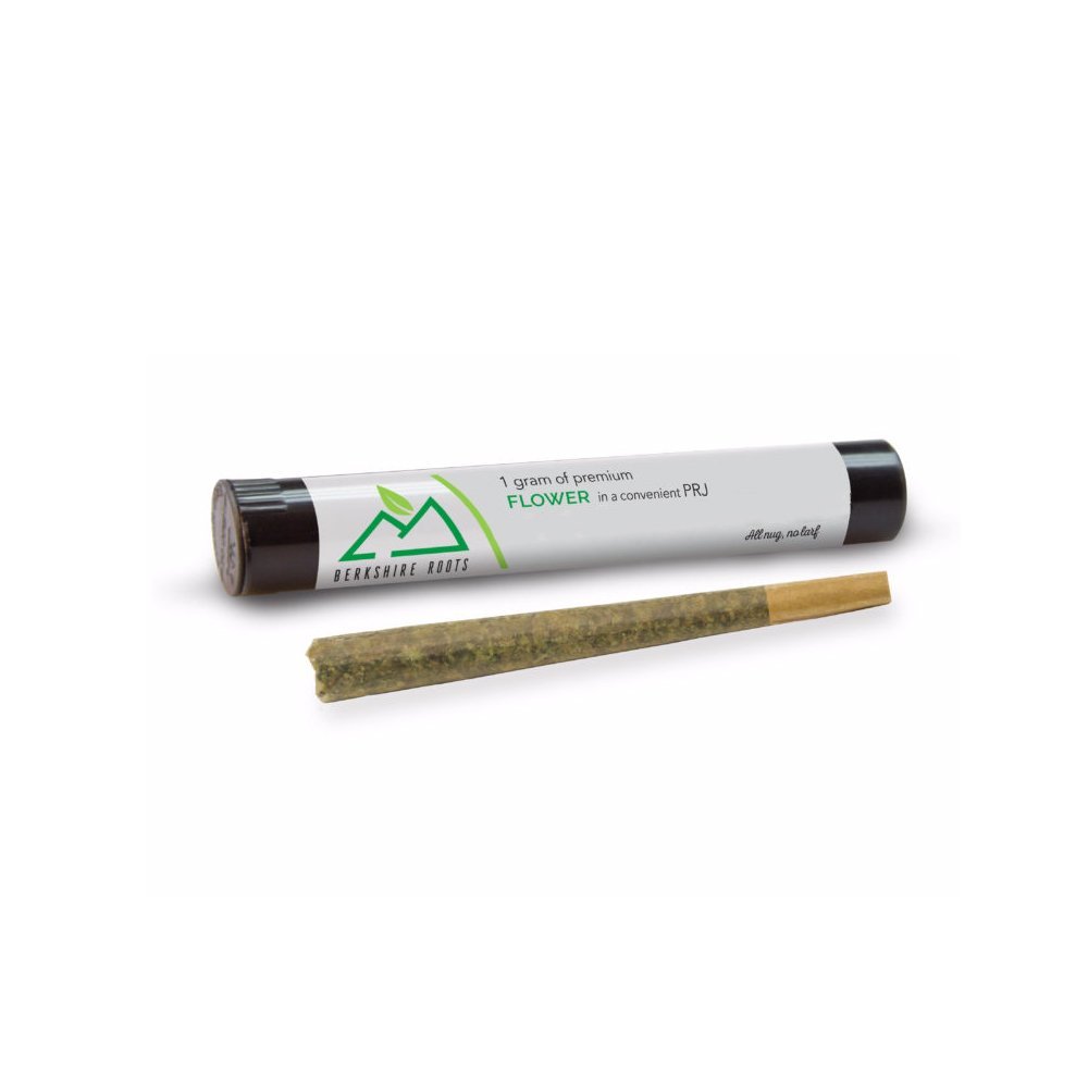 Orange Chemeleon Pre-Roll | 1g - Image 2
