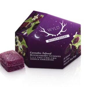 1:1:1 THC/CBD/CBN Boysenberry Gummies 10pk | 100mg