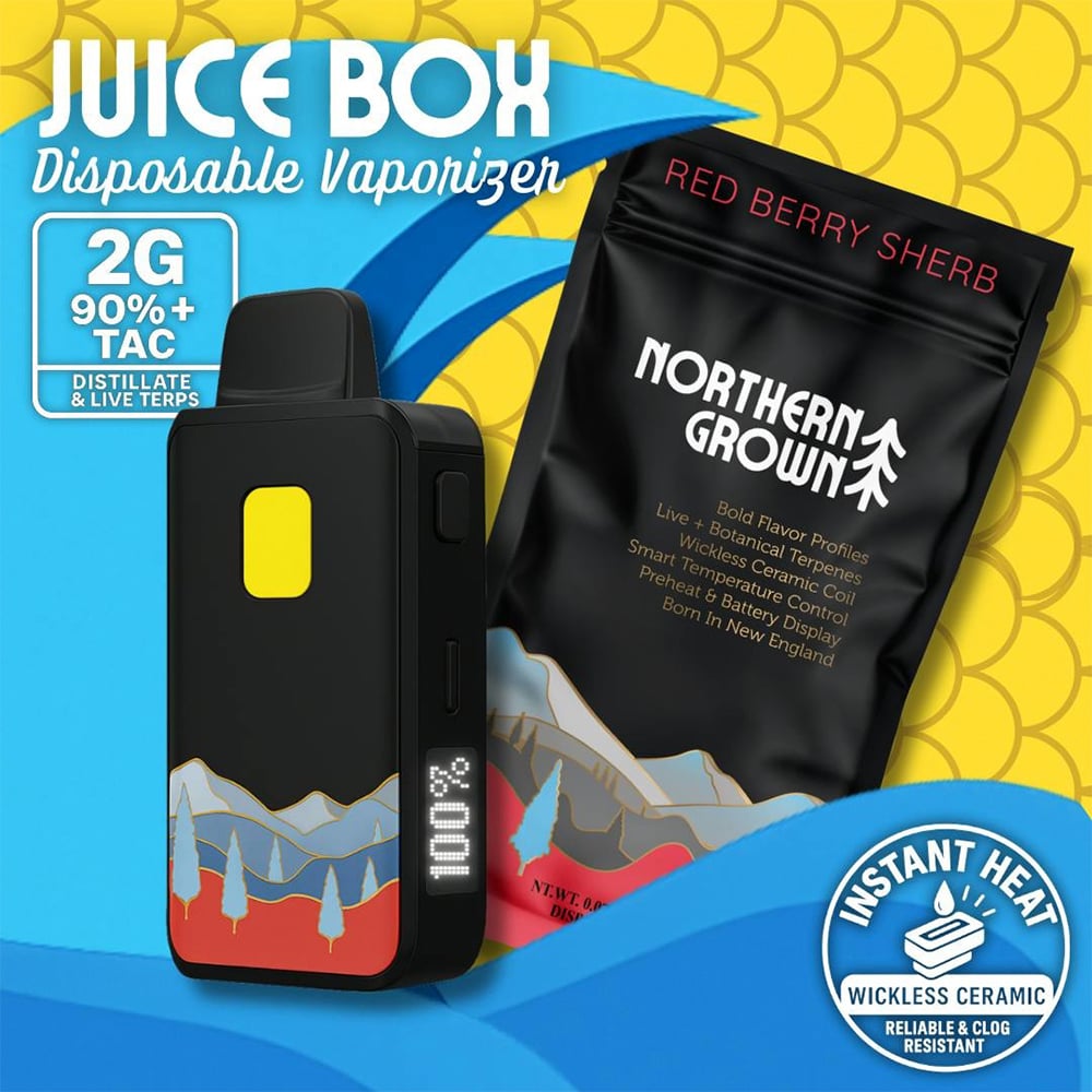 Red Berry Sherb Juice Box Disposable Vape | 2g - Image 2