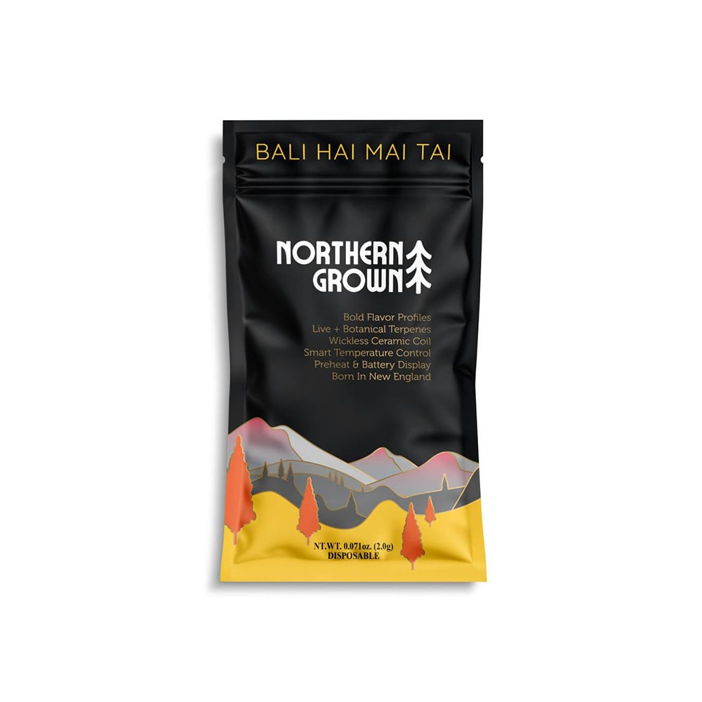 Bali Hai Mai Tai Juice Box Disposable Vape | 2g - Image 2