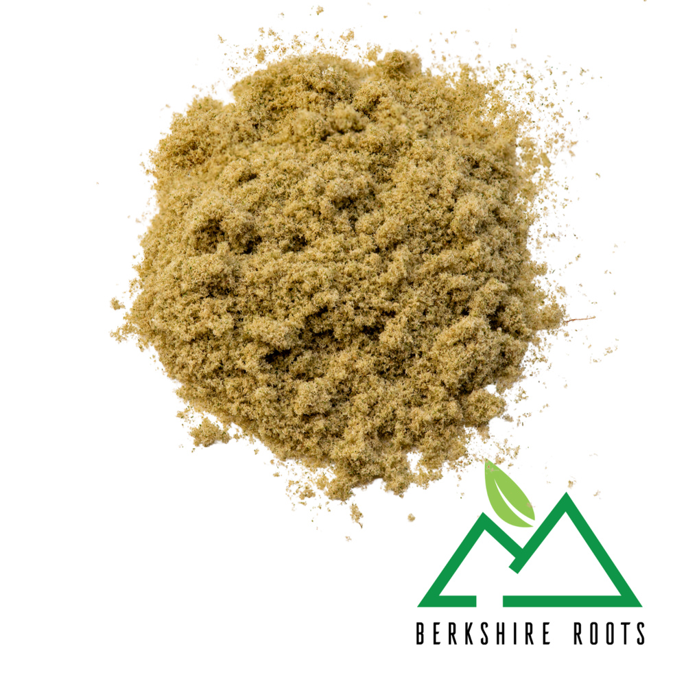Gorilla Noir Kief |
