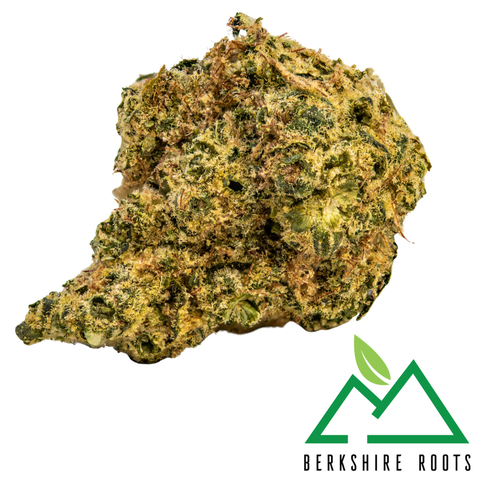 Orange Chemeleon Buds |
