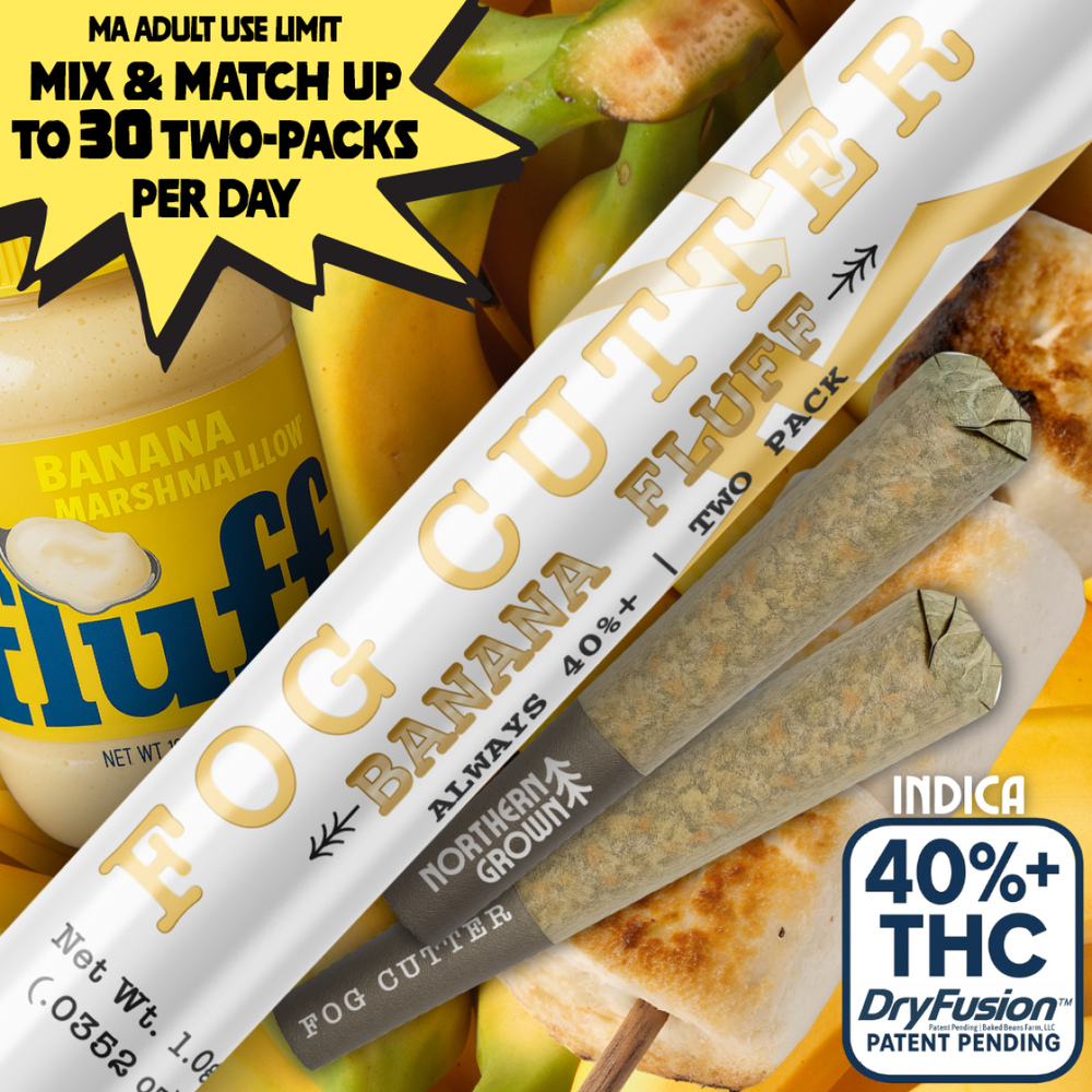Banana Fluff Distillate Infused 2pk Pre-Rolls | 1g