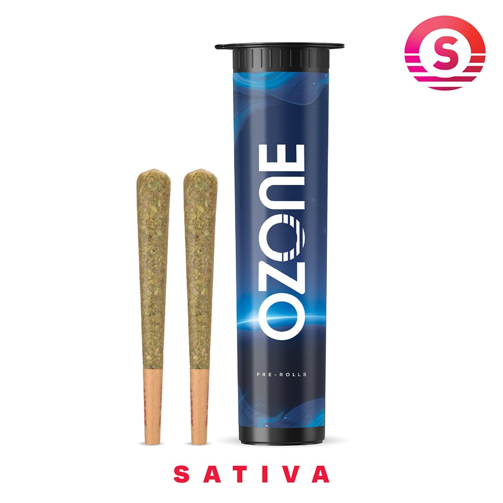 Animal Cake 2pk Pre-Rolls | 1g - Image 2