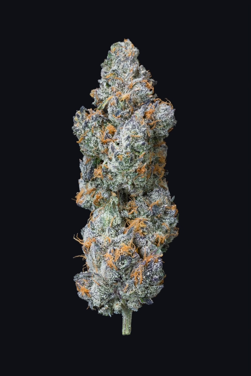 Lions Breath Buds |