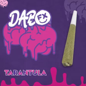 Cherry Blaze Infused Tarantula Pre-Roll | 1g