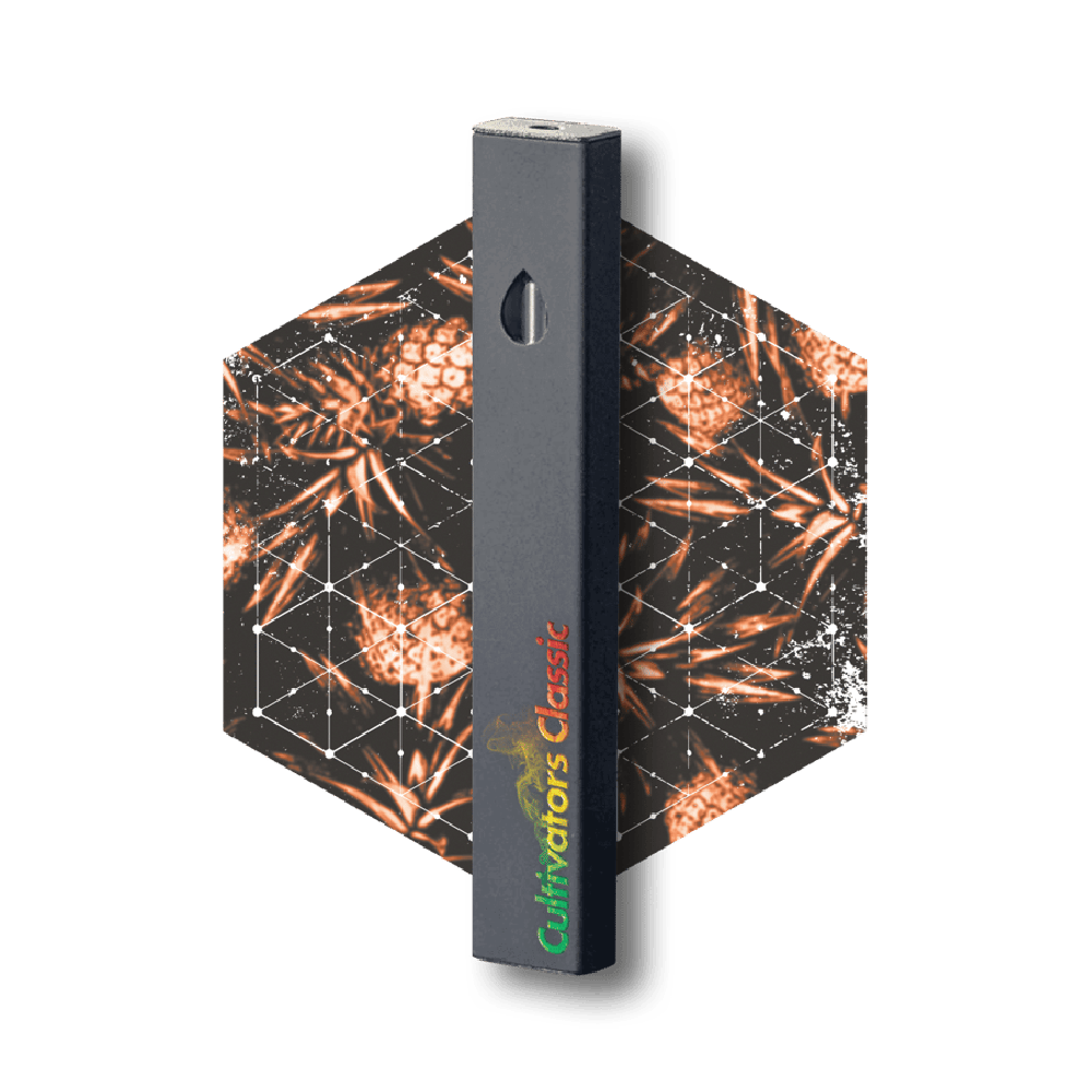 Watermelon Wave Disposable Vape | 1g - Image 2