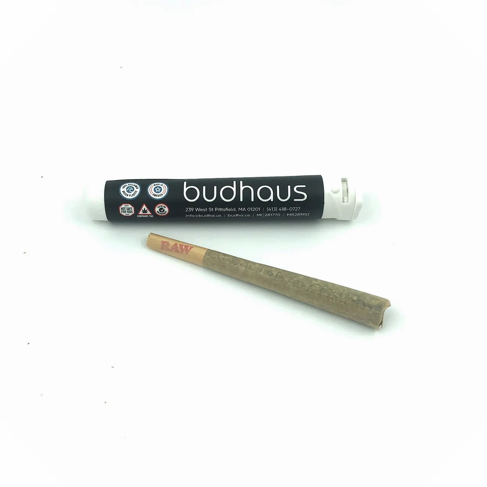 G13 Pre-Roll | 1g