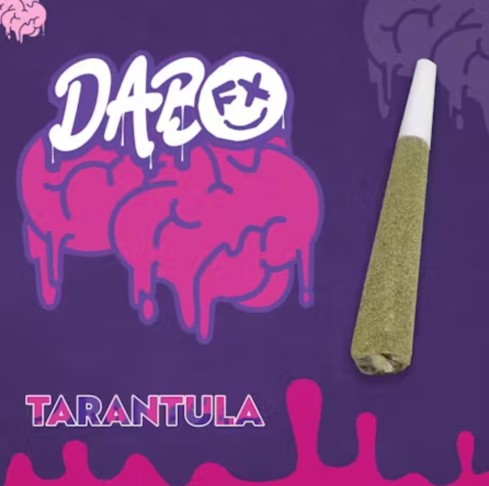 Canal Street Runtz Infused Tarantula Pre-Roll | 1g