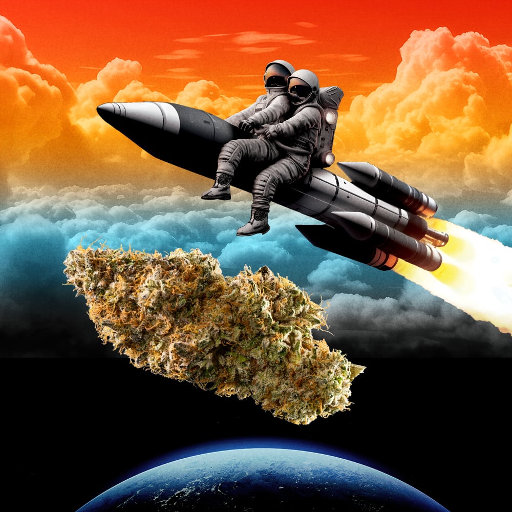 Afternoon Delight #4 Mixed Buds | - Image 5