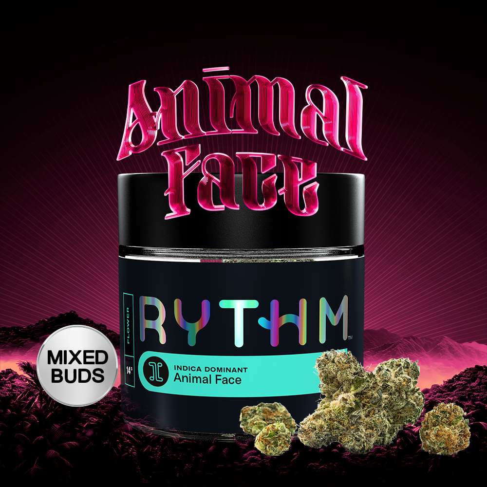 Animal Face Mixed Buds | - Image 3