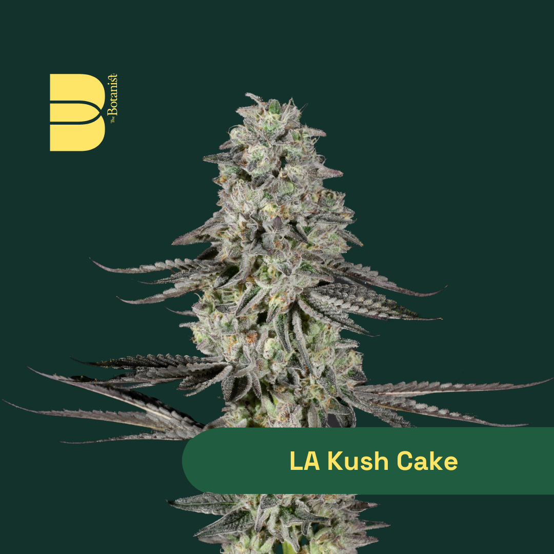 LA Kush Cake Buds | - Image 2