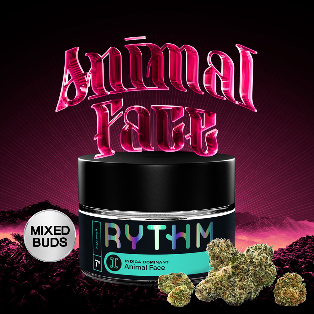 Animal Face Mixed Buds | - Image 2