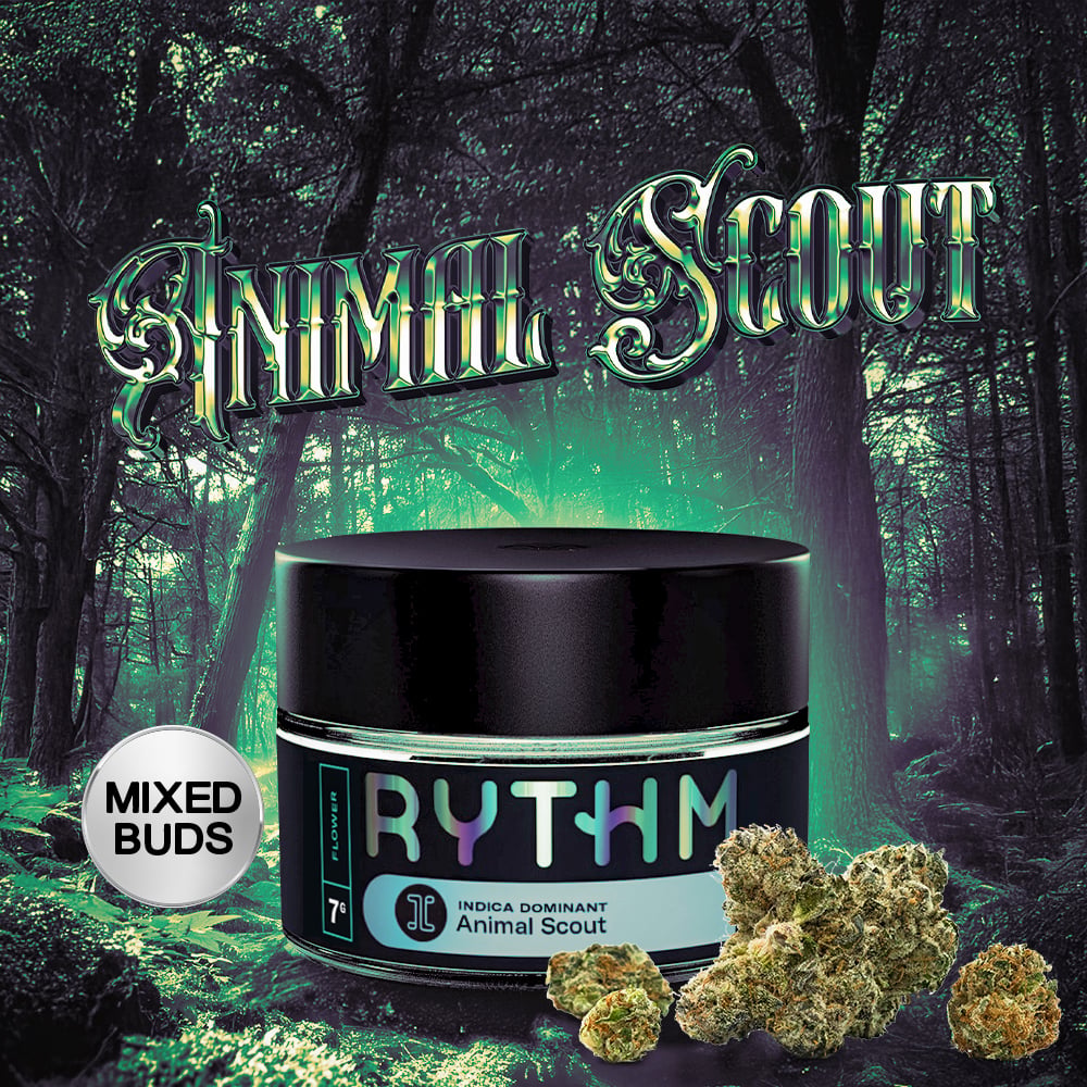 Animal Scout Mixed Buds | - Image 2