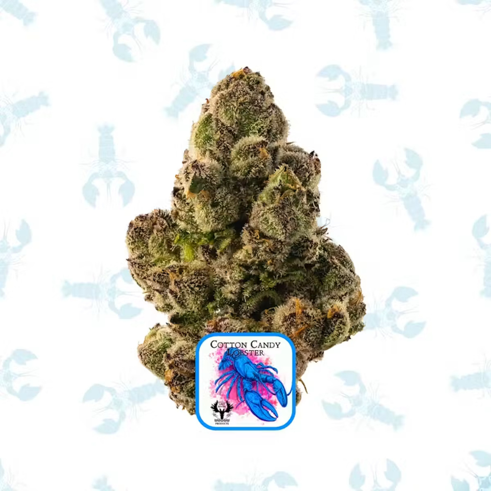 Cotton Candy Lobster Buds | 3.5g