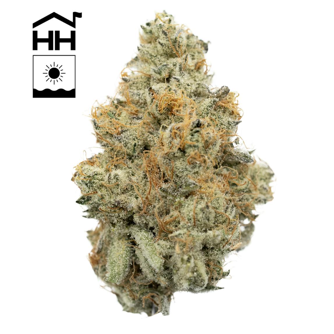 Albariño Buds | 3.5g