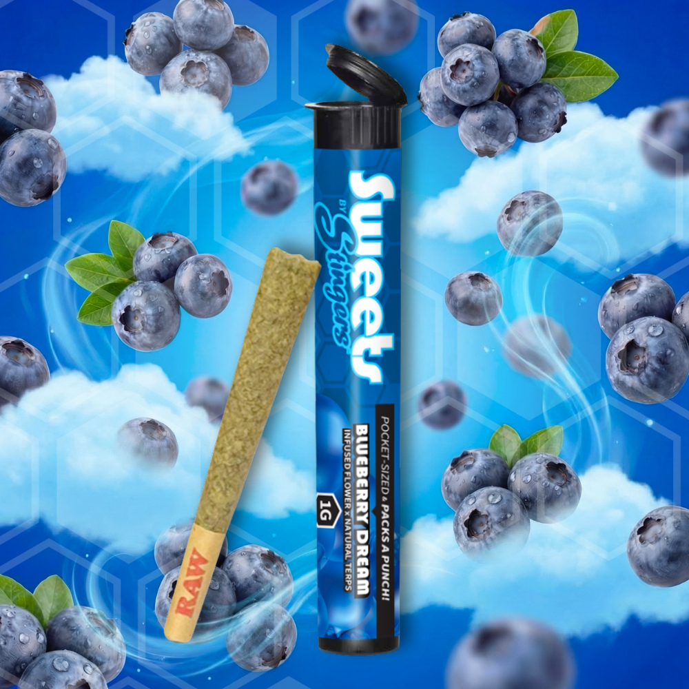 Blueberry Dream Infused Pre-Roll | 1g